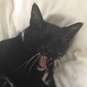 Meet your Posher, Anthony